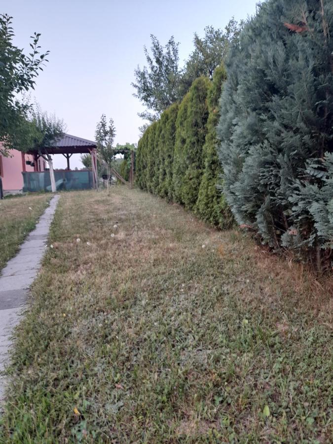 Villa Usivak For Green Quiet Holiday Near Sarajevo#Travellerawards2025 外观 照片